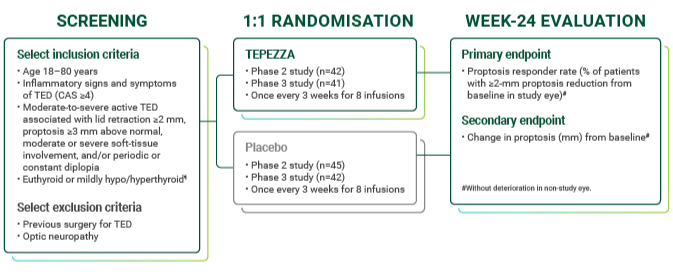 12095405_TEP_OUS_Microsites_01-24_Grafik_01_CW 4